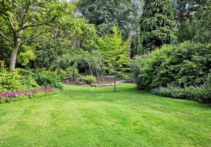 Optimiser l'expérience du jardin à Menil-en-Xaintois